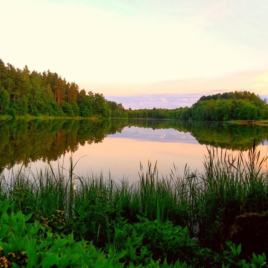 Willa Stodoła Miłomłyn Esterno foto
